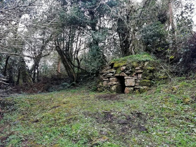 Piccola casa sudatoria in pietra a secco coperta di muschio nel bosco, Cleighran More, Irlanda